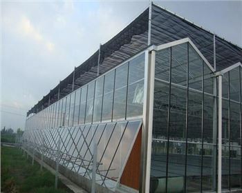 從規劃到收獲：博瀚農業溫室大棚的專業解決方案助力設施農業升級